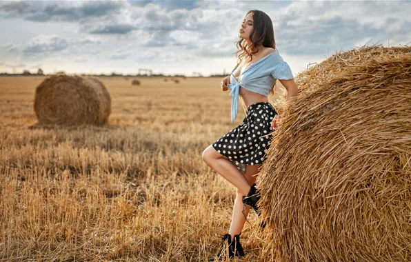 Field, girl, nature, pose, skirt, shoes, hay, blouse