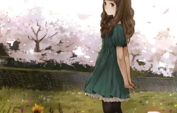 Girl, trees, flowers, anime, Sakura, art, kishida mel