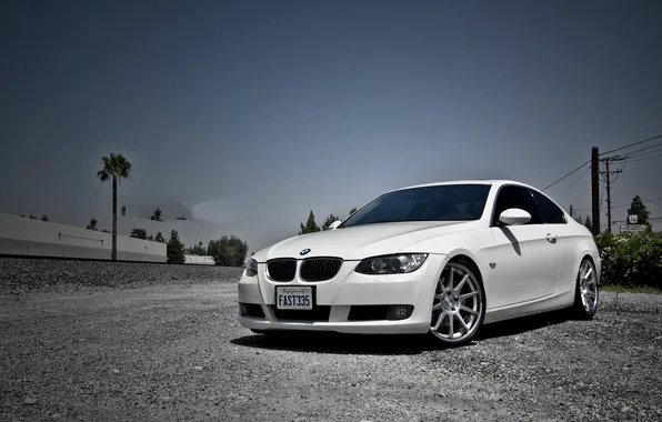 Picture white, the sky, palm trees, bmw, BMW, white, wheels, sky