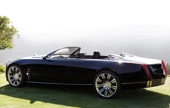 Black, concept, the concept, convertible, rear view, cadillac, Cadillac, cool