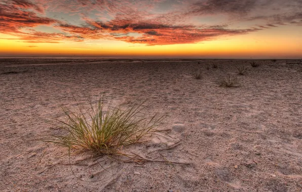 Beach, landscape, sunset