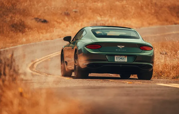 Picture road, coupe, Bentley, rear view, 2019, Continental GT V8