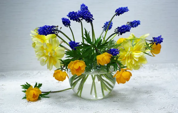 Flowers, nature, mood, holiday, beauty, plants, spring, may