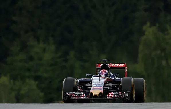 Picture Formula 1, Torro Rosso, The front