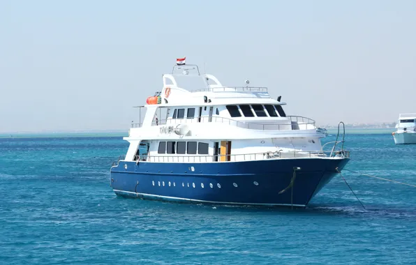 Sea, yacht, Egypt
