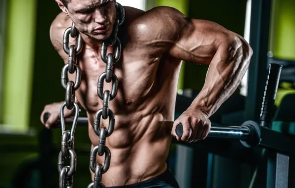 Chain, muscle, muscle, training, athlete, workout, workout, bodybuilder