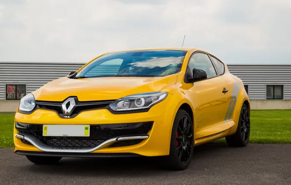 Picture Renault, 275, Trophy-R, Mégane. R. S.