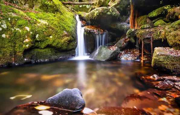 Picture greens, autumn, leaves, stones, waterfall, moss, stream