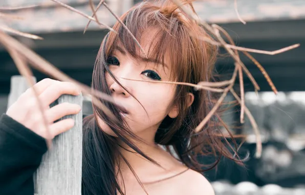 Girl, background, Asian