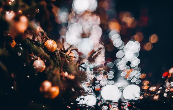 Picture glare, toys, tree, bokeh