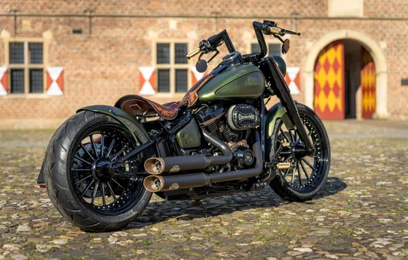 Picture Classic, Harley-Davidson, Tuning, Softail, Rear, Heritage, Customized, Thunderbike