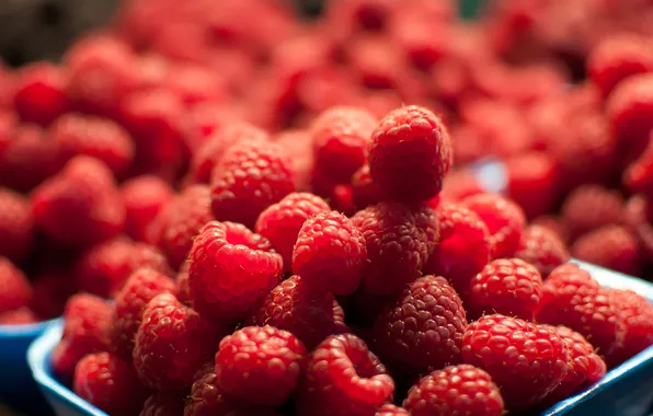 Berries, raspberry, slide, tray, a lot, bokeh