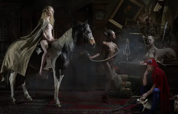 Dogs, people, horses