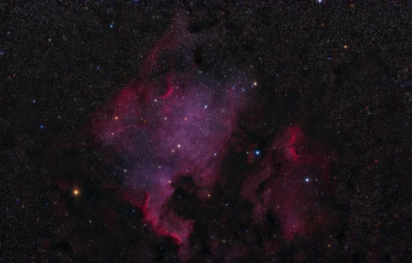 Picture space, North America, Pelican Nebulas