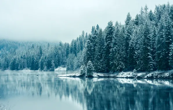 Picture Canada, USA, USA, Canada, British Columbia, British Columbia, Kootenay River, the Kootenay river