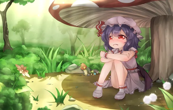 Mushroom, lost, flowers, sitting, red eyes, cap, tears, crying