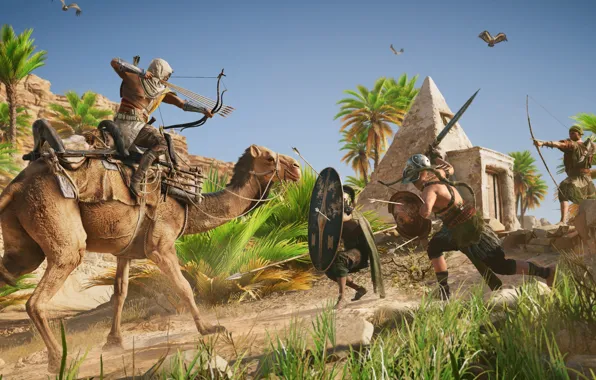Camel, Egypt, assassin, Assassin's Creed Origins