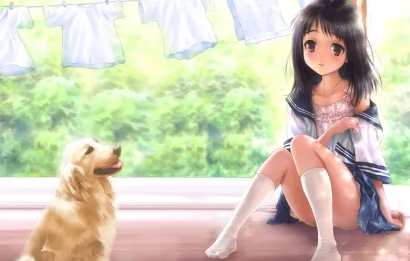 Picture summer, dog, anime, girl