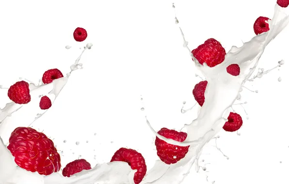 Picture berries, raspberry, splash, milk, white background