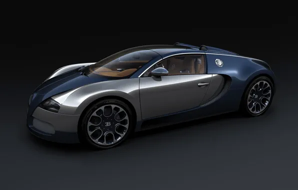 Picture Bugatti, Veyron, carbon, timesindia