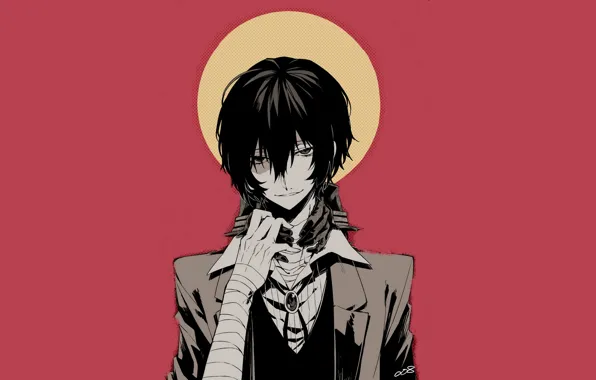 Picture guy, Bungou Stray Dogs, Dasi, Stray Dogs: A Literary Genius, hands in gloves