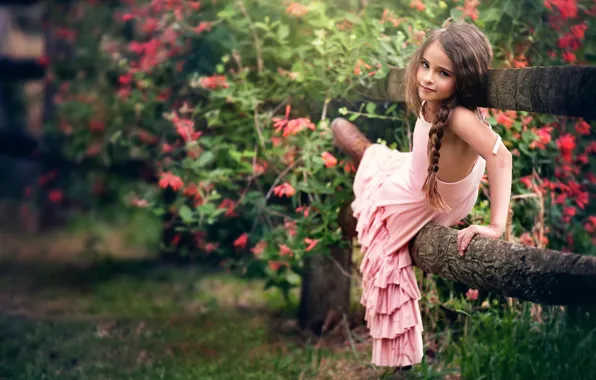 Picture flowers, the fence, dress, girl, child