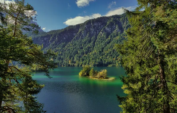 Forest, beautiful, mountains, lake
