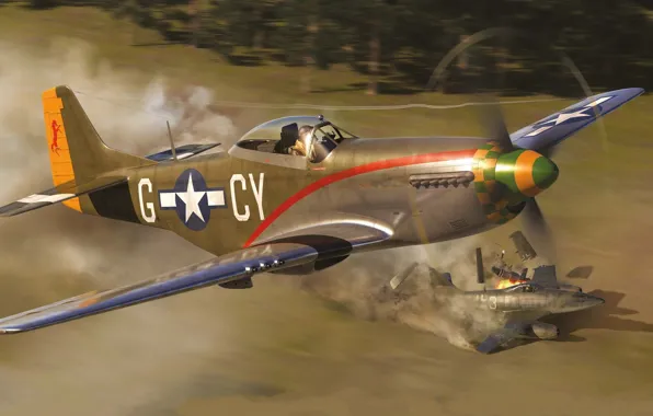 Fighter, USA, USAF, P-51D, P-51 Mustang, Combat aircraft