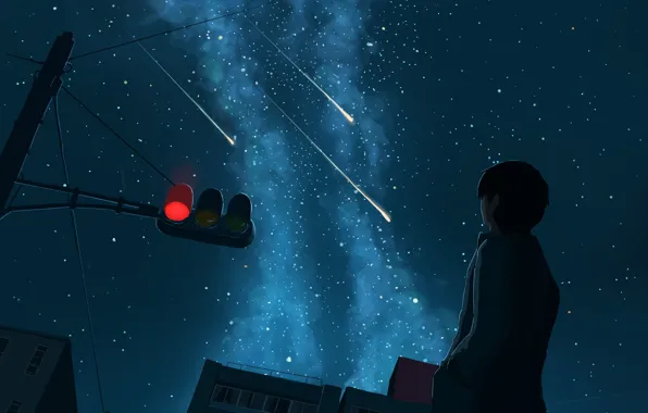 The sky, night, the city, guy, the milky way, shooting stars, Svetofor