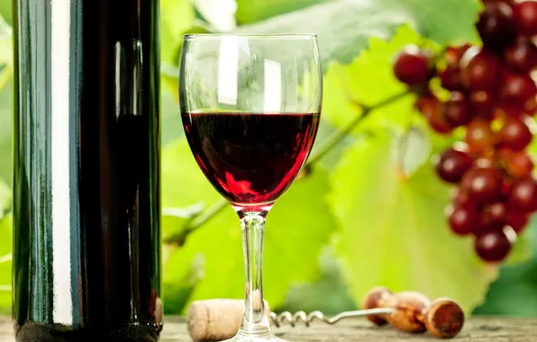 Table, wine, glass, bottle, grapes, corkscrew