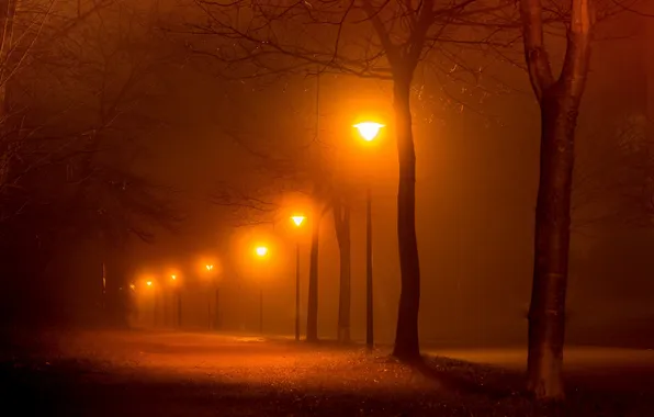 Night, the city, street