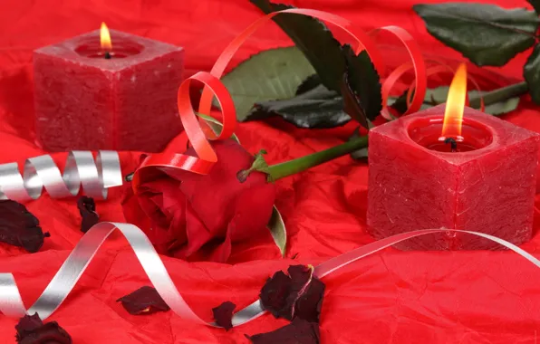 Flowers, heart, candles, Rose, roses, romance, candles, Red rose