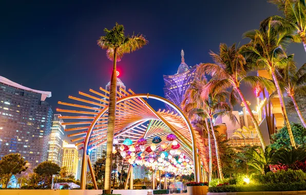 Light, trees, night, the city, Park, palm trees, design, building