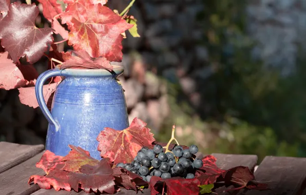 Picture leaves, berries, Board, grapes, bunch, pitcher