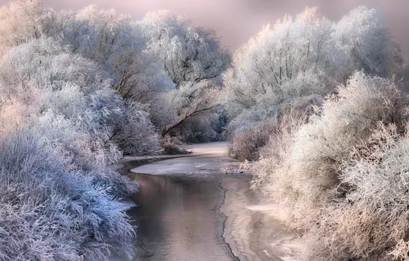 Picture winter, frost, snow, trees, nature, river, ice