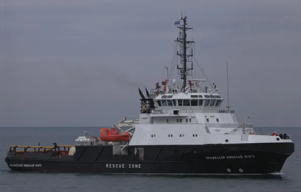 Picture auxiliary fleet, The black sea, rescue, ship, Professor Nicholas Moore