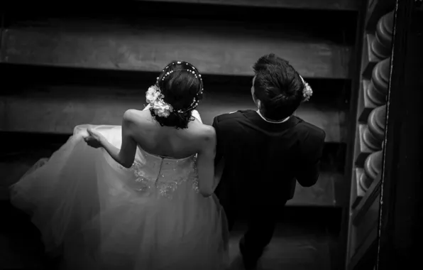 Dress, pair, black and white, lovers, the bride, the groom