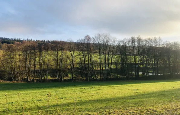 Greens, field, hills, The sky, Winter, Grass, cloud, winter day