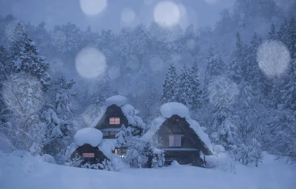 Winter, forest, snow, trees, Japan, village, houses, Japan