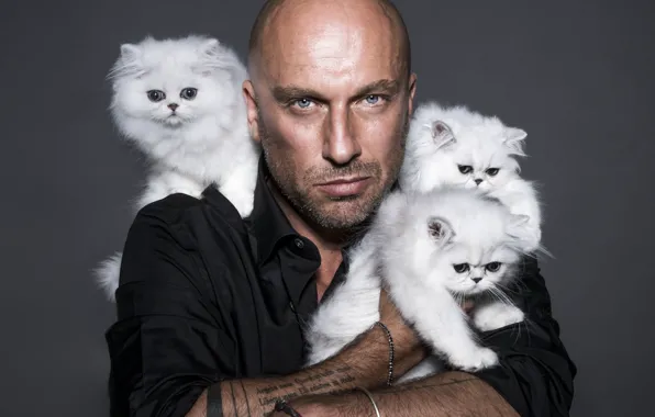 Look, tattoo, actor, bristles, seals, cats, Dmitriy Nagiev