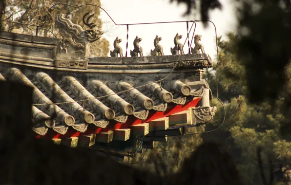 Roof, red, background, tree, Wallpaper, dragon, China, construction