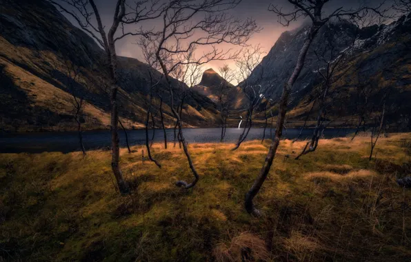 Picture autumn, grass, trees, mountains, branches, trunks, the slopes, curves