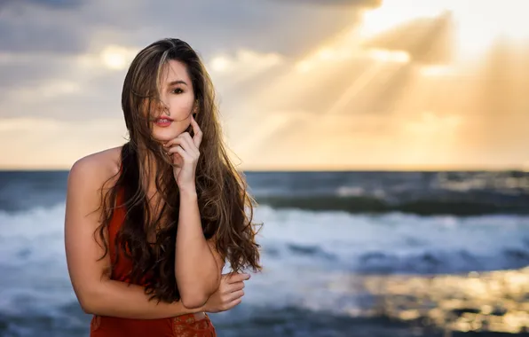 Picture look, girl, face, background, dawn, hair, Brittany