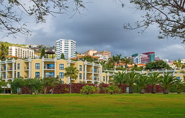 Picture the city, palm trees, photo, lawn, home, Portugal, resort, Funchal Madeira
