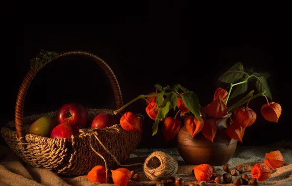 Apples, basket, physalis