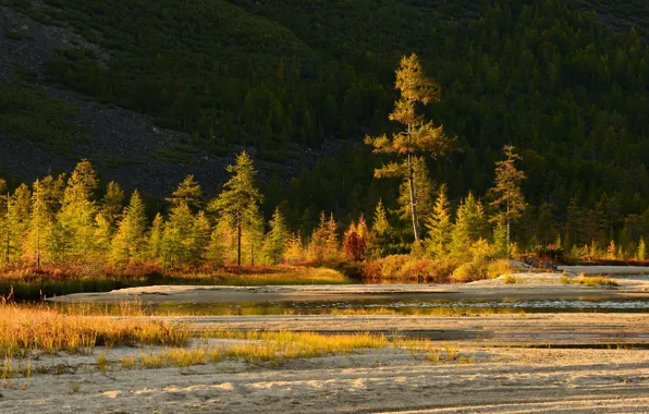 Sand, autumn, forest, light, nature, hills, shore, ate