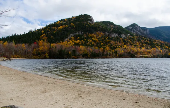 Picture sea, autumn, trees, mountains, nature, shore, Nature, trees