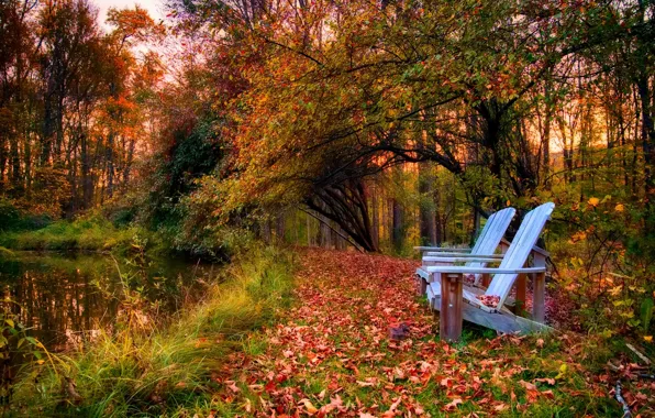 Picture autumn, forest, the sky, leaves, water, clouds, trees, mountains