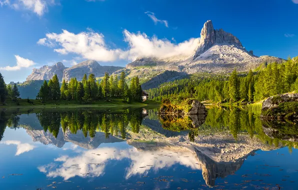 Forest, landscape, mountains, nature, lake, reflection, Italy, Federa