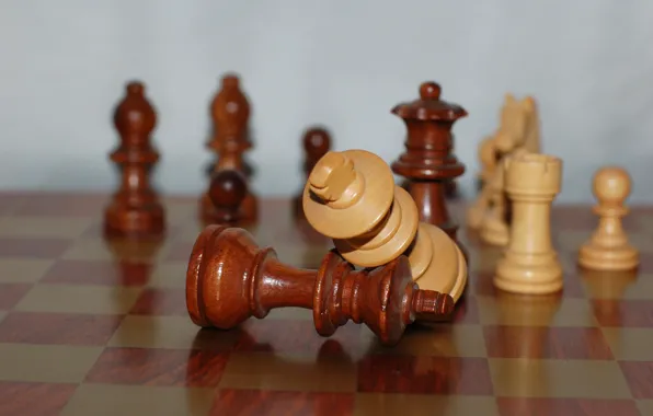 Chess, battle, chess Board, bokeh, king, chess pieces, wooden, Mat